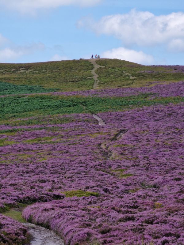 Crug Mawr & Partishrow